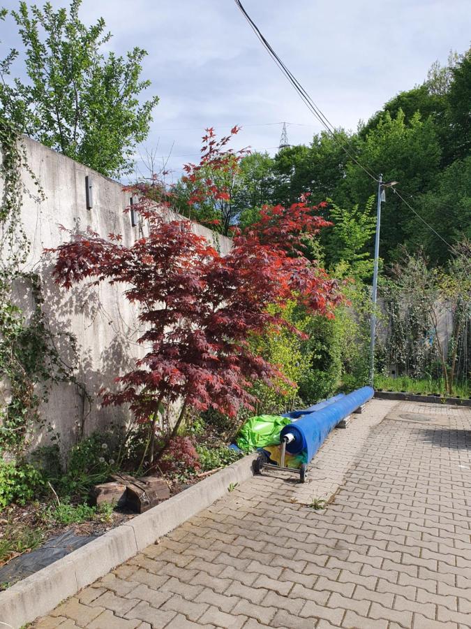 Pensiunea Roua Muntelui Brăzeşti Exteriér fotografie