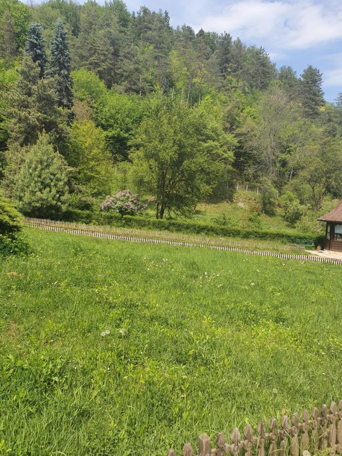 Pensiunea Roua Muntelui Brăzeşti Exteriér fotografie